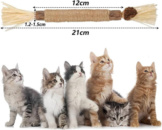 Redreo Katzenminze Sticks, 3 Stück Katzen Kauhölzer Sticks für Katzen Zahnpflege & Gegen Mundgeruch Natürlich Sicher Katzensticks Kausticks
