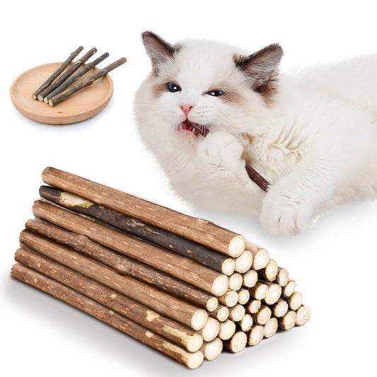 OSDUE 32 Stück Katzenminze Sticks, Matatabi-Kausticks, Katzenminze Spielzeug Katzen Kauhölzer Sticks für Katzen Zahnpflege & Gegen Mundgeruch Natürlich Sicher Katzensticks Kausticks Set