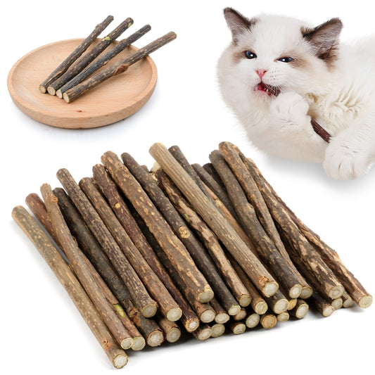 OSDUE 32 Stück Katzenminze Sticks, Matatabi-Kausticks, Katzenminze Spielzeug Katzen Kauhölzer Sticks für Katzen Zahnpflege & Gegen Mundgeruch Natürlich Sicher Katzensticks Kausticks Set